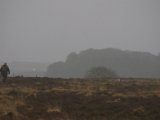 IMGP6452