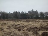DSC00071