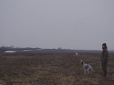 IMGP6386