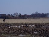 IMGP6568
