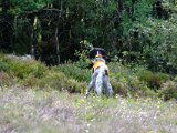 DSCF5971