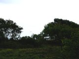 DSCF5987