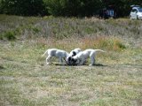 DSC01769