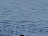 DSCF6981