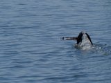 DSCF6986