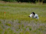 DSCF7023