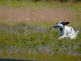 DSCF7053