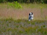 DSCF7055
