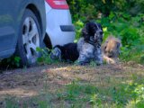 DSCF7057