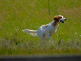 DSCF7077