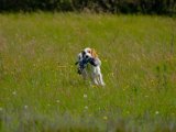 DSCF7079