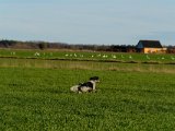 DSCF6286