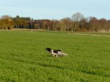DSCF6288