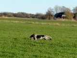 DSCF6319