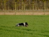 DSCF6324