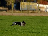 DSCF6331