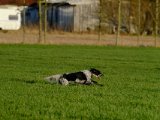 DSCF6332