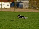 DSCF6335