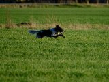 DSCF6339