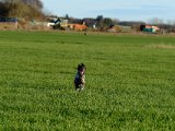 DSCF6341