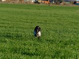 DSCF6343