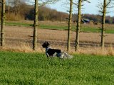 DSCF6349