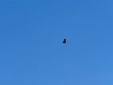 DSCF6356