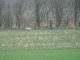 DSCF6365