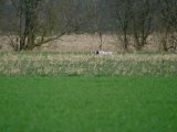DSCF6377