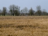 DSCF6381