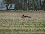 DSCF6396