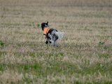 DSCF6399