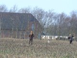 DSCF6447
