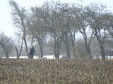 DSCF6559