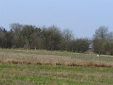 DSCF6574
