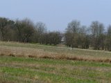 DSCF6575