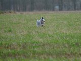 DSCF6582