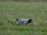 DSCF6593