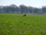 DSCF6144