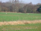 DSCF6147