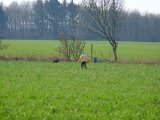 DSCF6160
