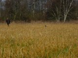 DSCF6163