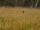 DSCF6164