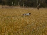 DSCF6165