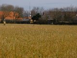 DSCF6167