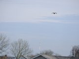 DSCF6169