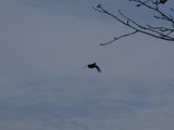 DSCF6170