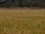 DSCF6172