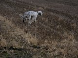 DSCF6182