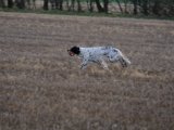 DSCF6189